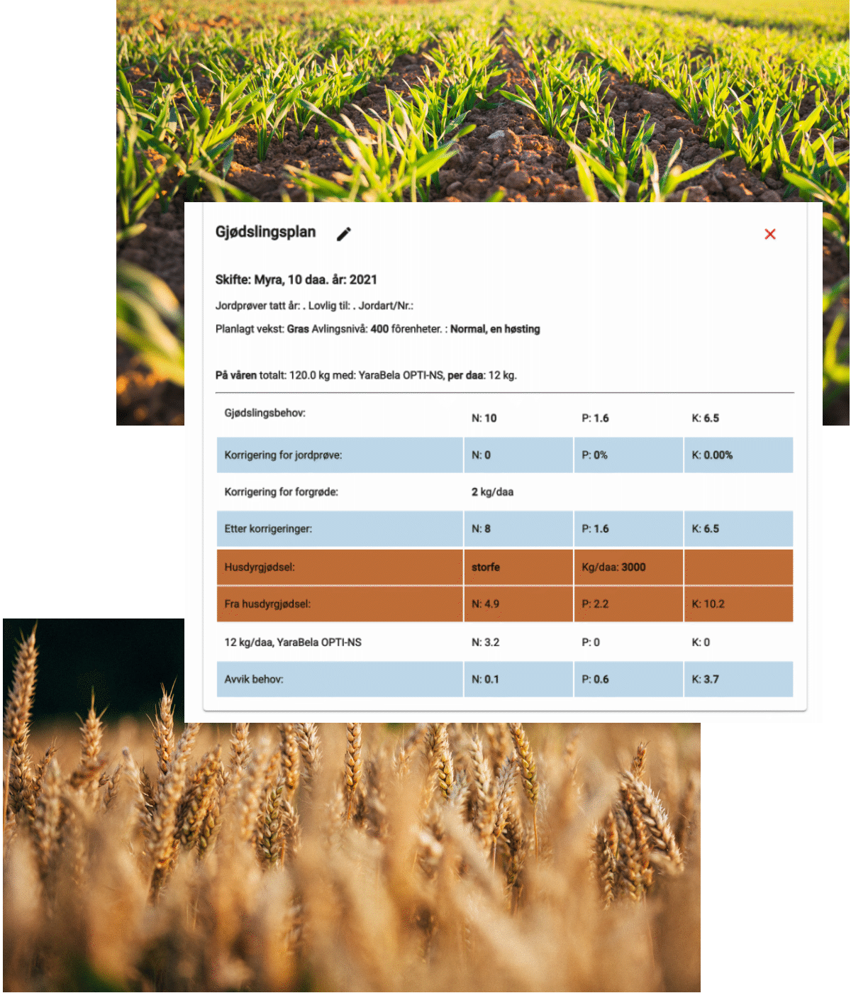 Bilde som viser modent korn, nysådd åker og skjermdump av gjødslingsplan i produsentappen.